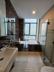 Viz At Holland (D10), Condominium #596515611